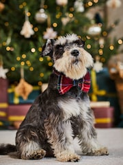 JoJo Maman Bébé Red Tartan Dog Bow Tie - Image 3 of 5