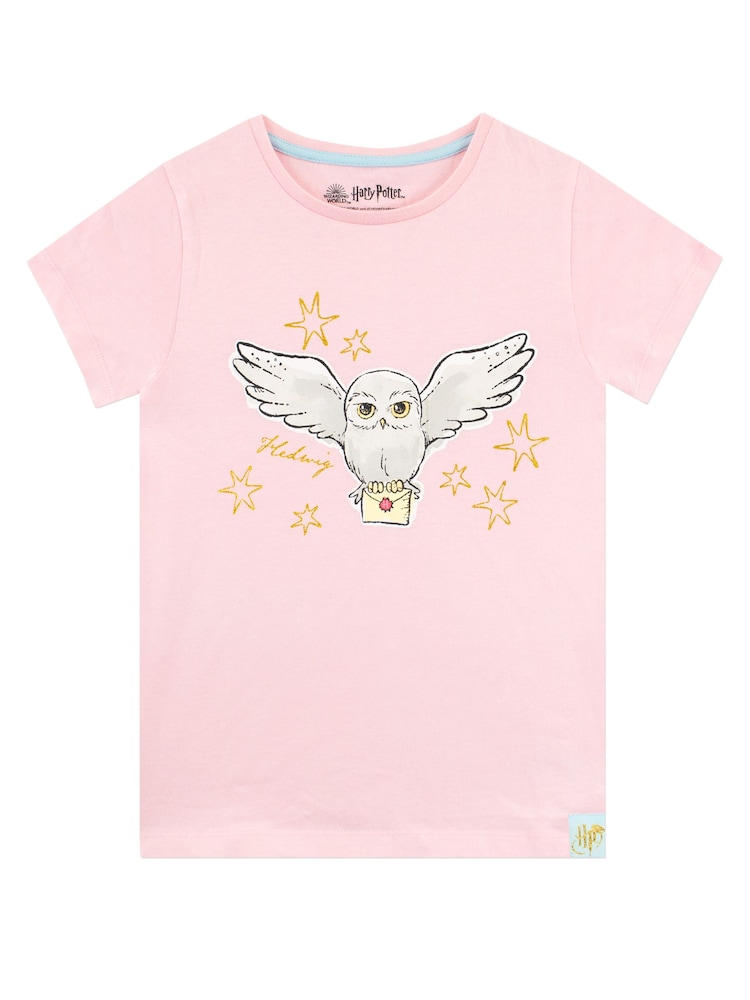 Character Blue 100% Cotton Harry Potter T-Shirt Pack