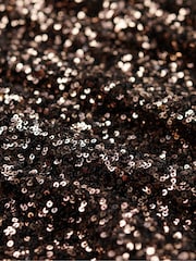 Superdry Brown Sleeveless Sequin A Line Mini Dress - Image 5 of 6