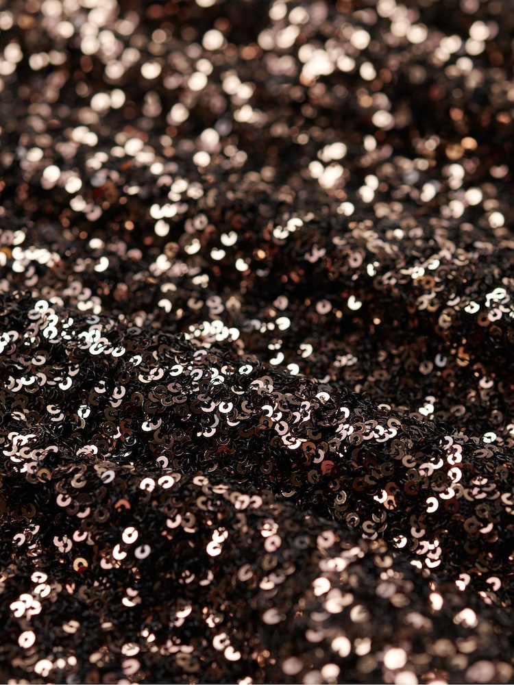 Superdry Brown Sleeveless Sequin A Line Mini Dress - Image 5 of 6