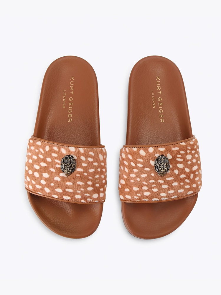 Kurt Geiger London Brown Meena Eagle Sandals - Image 2 of 4