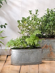 Nkuku Zinc Akasa Small Trough Planter - Image 1 of 3
