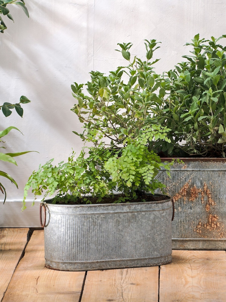 Nkuku Zinc Akasa Small Trough Planter - Image 1 of 3 Nkuku Zinc Akasa Small Trough Planter - Image 1 of 3