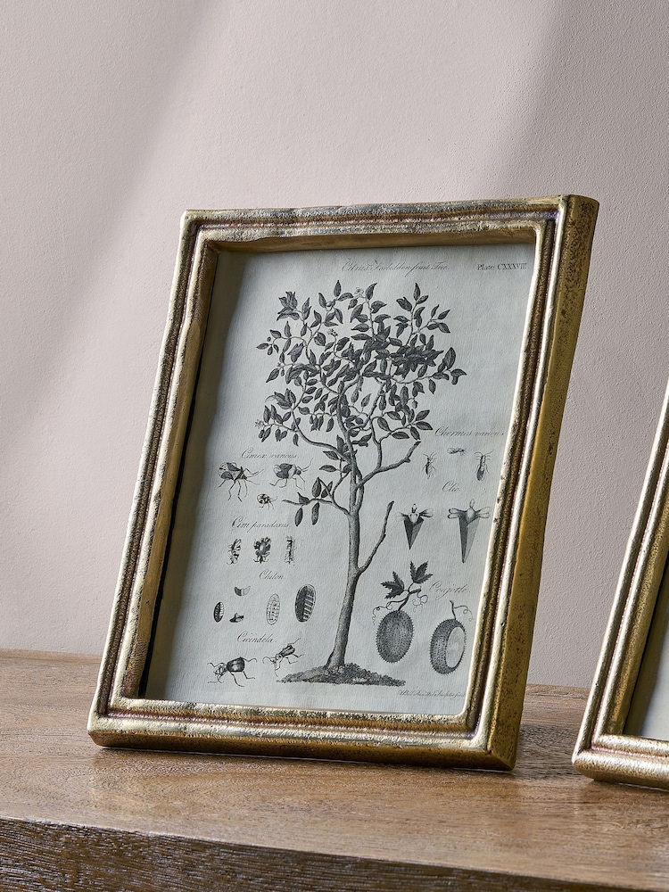 Nkuku Antique Brass Pambani Photo Frame - Image 1 of 3