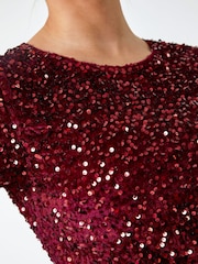 Dusk Metallic Velvet Sequin Embellished Shift Dress - Image 5 of 5