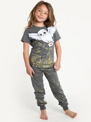 Brand Threads Grey Harry Potter Hedwig Girls Pyjama Set - Image 1 of 7