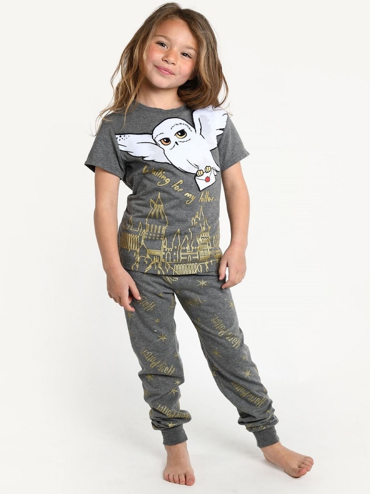 Brand Threads Grey Harry Potter Hedwig Girls Pyjama Set - Image 1 of 7