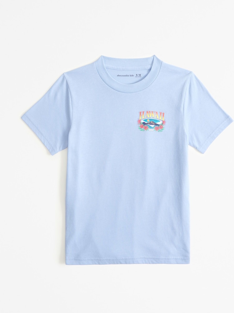 Abercrombie & Fitch Blue Hawaii Back Print T-Shirt - Image 1 of 1