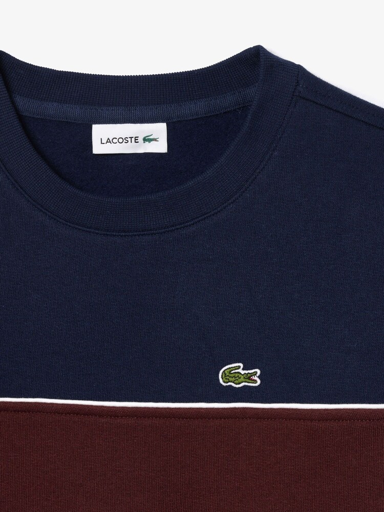Lacoste Blue Colour Block Sweatshirt - Image 4 of 4