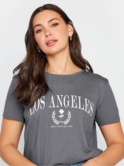 Long Tall Sally Grey 100% Cotton Stripe Crew Neck T-Shirt - Image 4 of 4