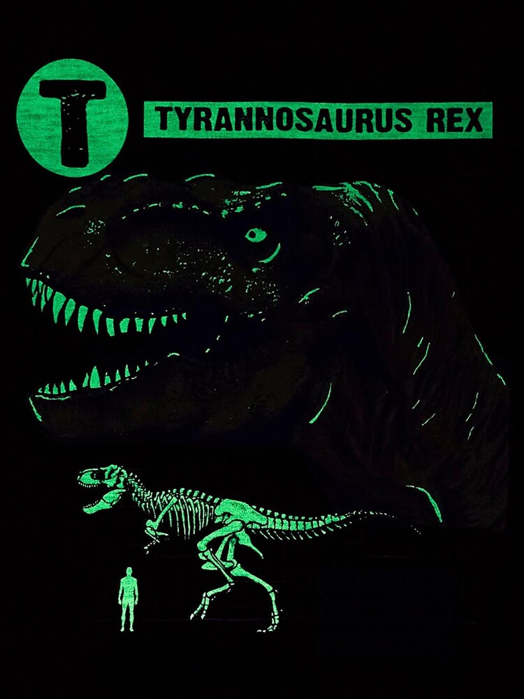 FatFace Red T-Rex Graphic T-Shirt - Image 6 of 6