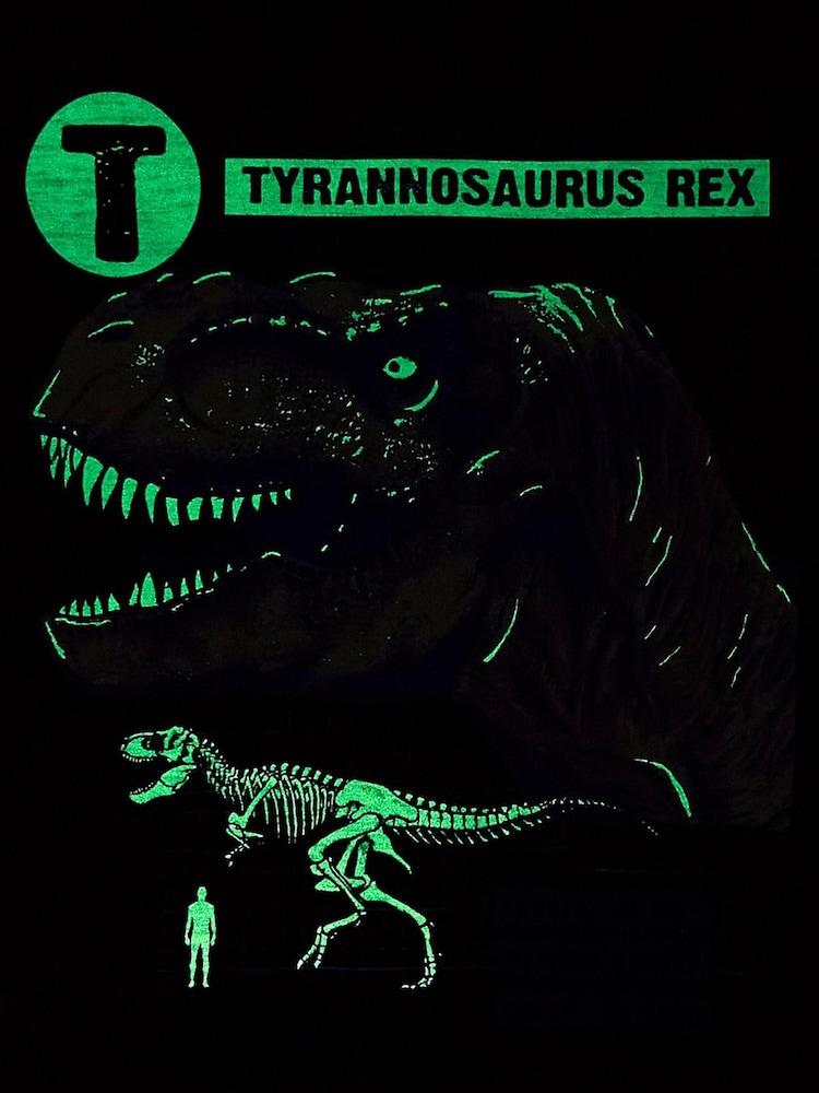 FatFace Red T-Rex Graphic T-Shirt - Image 6 of 6 FatFace Red T-Rex Graphic T-Shirt - Image 6 of 6