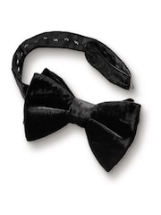 Charles Tyrwhitt Black Velvet Bow Tie - Image 1 of 1