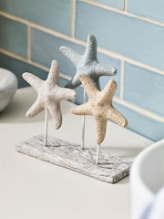 Multi Starfish Ornament - Image 1 of 5