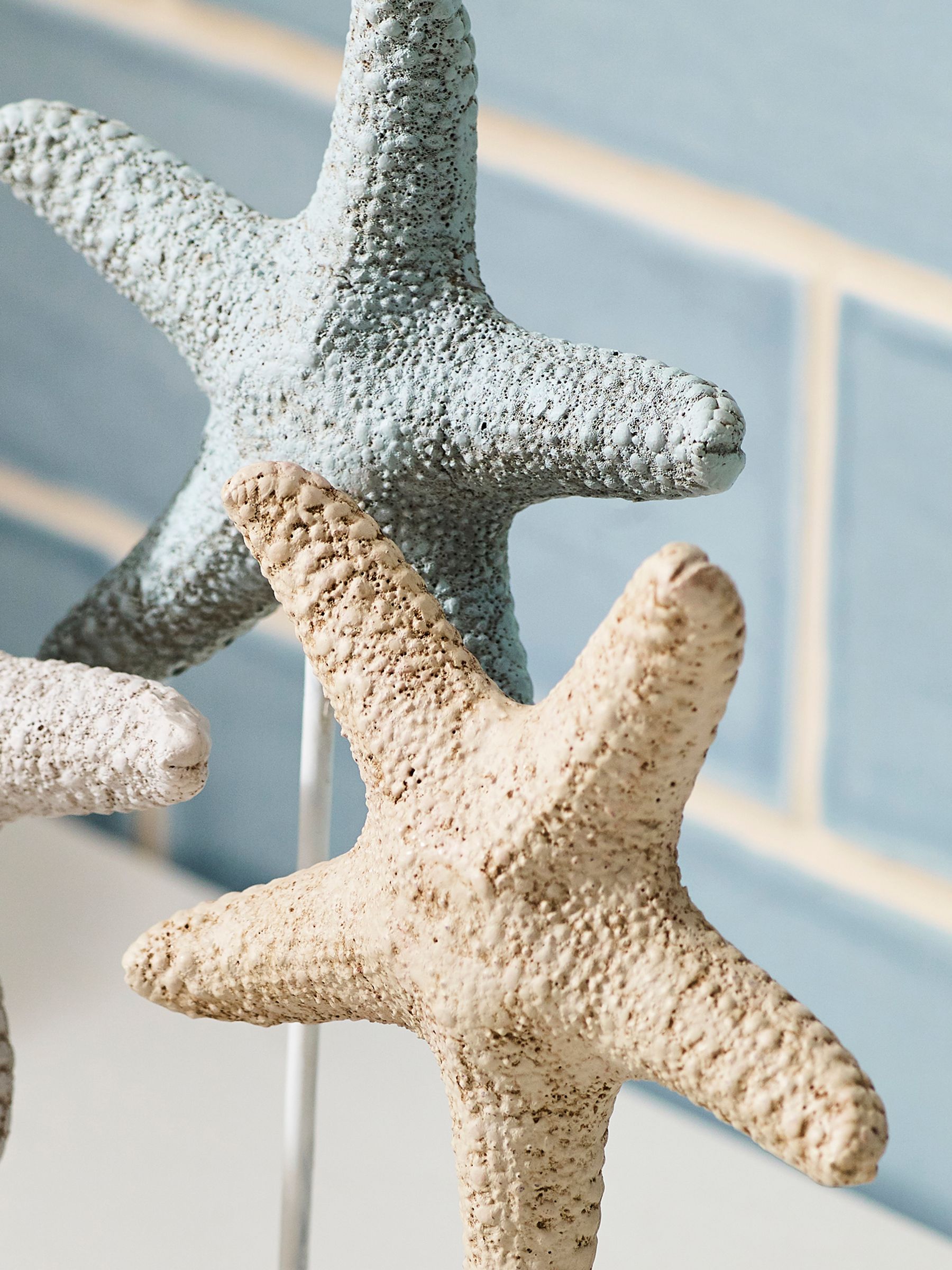 Buy Multi Starfish Ornament from the Next UK online shop