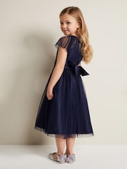 Phase Eight Blue Jasmine Tulle Fit And Flare Dress - Image 3 of 8