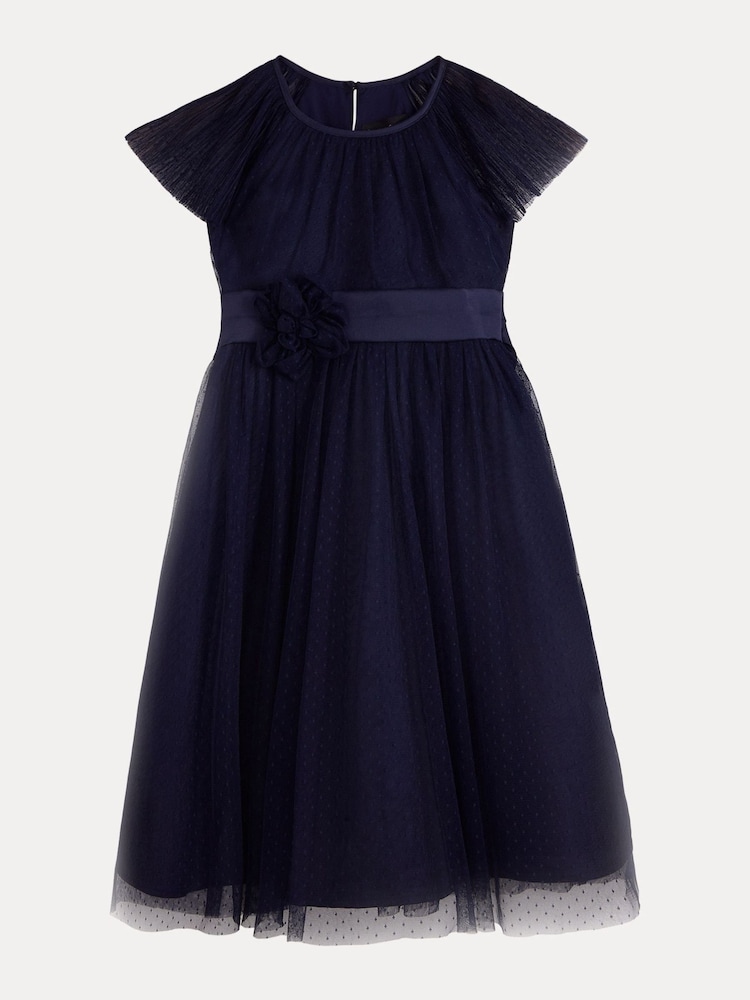 Phase Eight Blue Jasmine Tulle Fit And Flare Dress - Image 8 of 8