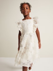Phase Eight Cream Rosa Lace Appliqué Smock Dress - Image 5 of 7