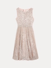 Phase Eight Pink Tiana Sequin Pleat Dress - Image 8 of 8
