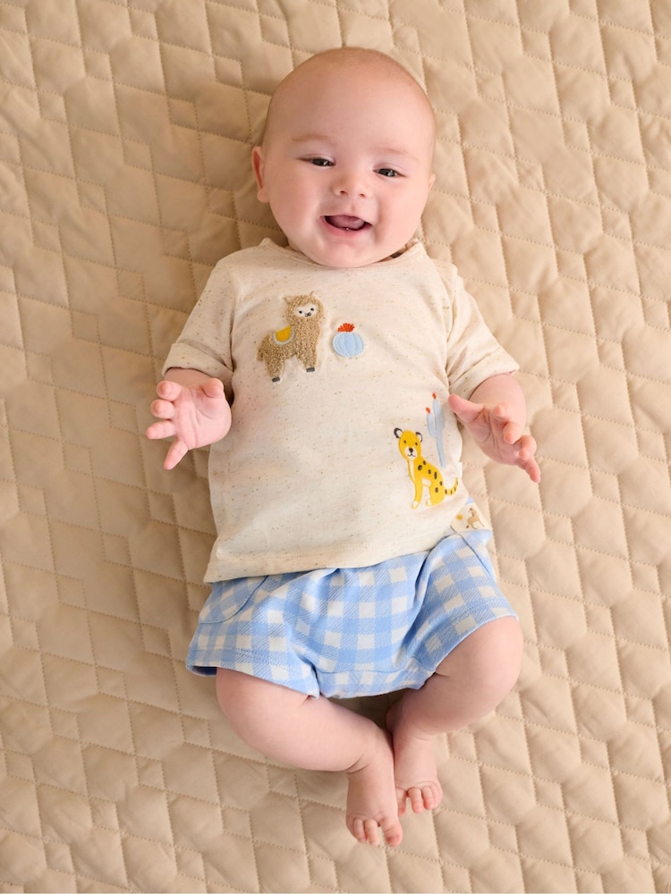 Purebaby Blue Gingham Shorts and T-Shirt Set - Image 1 of 6