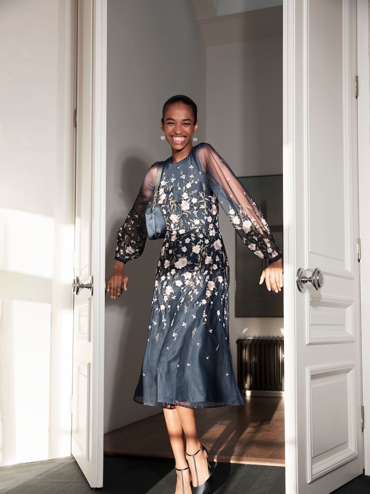 Hobbs Blue Lois Embroidered Dress - Image 1 of 5 Hobbs Blue Lois Embroidered Dress - Image 1 of 5