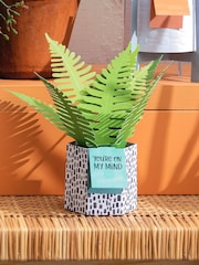 Hallmark Green You're On My Mind Card 3D Pop Up Fern - Image 1 of 4