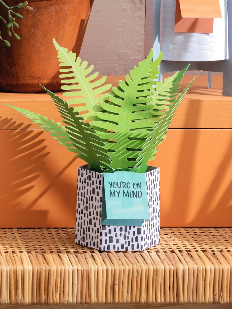 Hallmark Green You're On My Mind Card 3D Pop Up Fern - Image 1 of 4