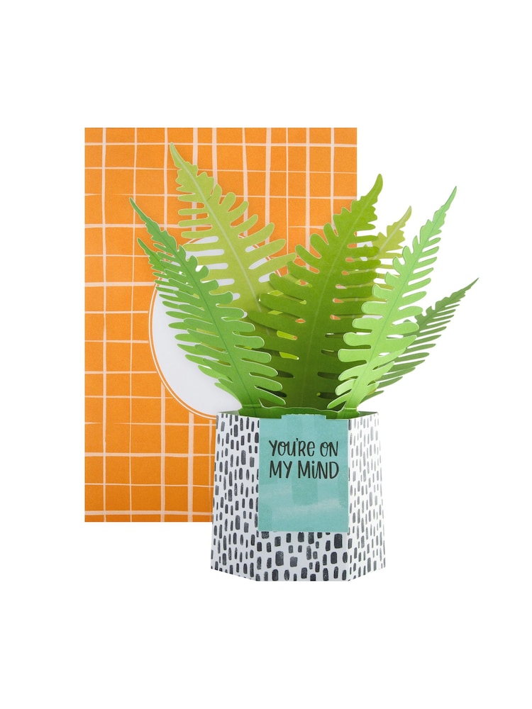 Hallmark Green You're On My Mind Card 3D Pop Up Fern - Image 2 of 4