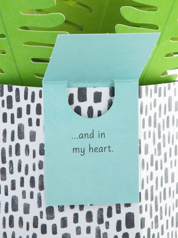 Hallmark Green You're On My Mind Card 3D Pop Up Fern - Image 4 of 4