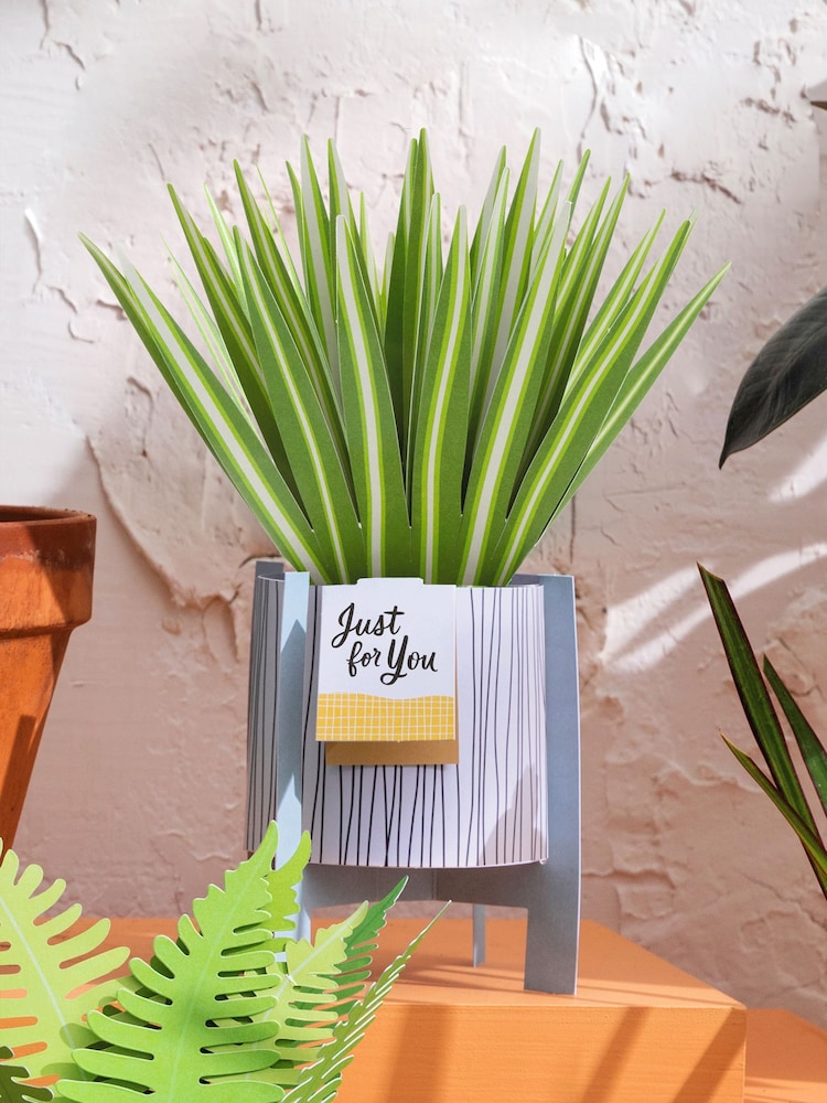 Hallmark Green Little Hello Card 3D Pop Up Spider Plant - Image 1 of 4