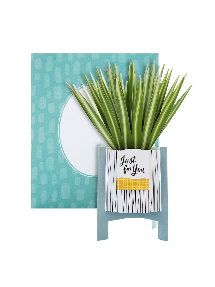Hallmark Green Little Hello Card 3D Pop Up Spider Plant - Image 2 of 4
