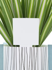 Hallmark Green Little Hello Card 3D Pop Up Spider Plant - Image 4 of 4