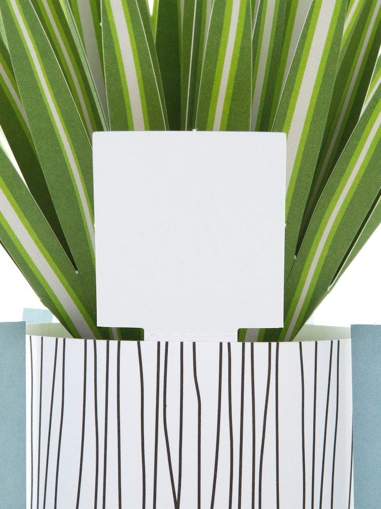 Hallmark Green Little Hello Card 3D Pop Up Spider Plant - Image 4 of 4