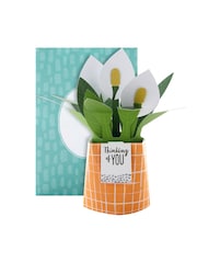 Hallmark Green Thinking of You Card 3D Pop Up Peace Lily - Image 2 of 4