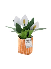 Hallmark Green Thinking of You Card 3D Pop Up Peace Lily - Image 3 of 4