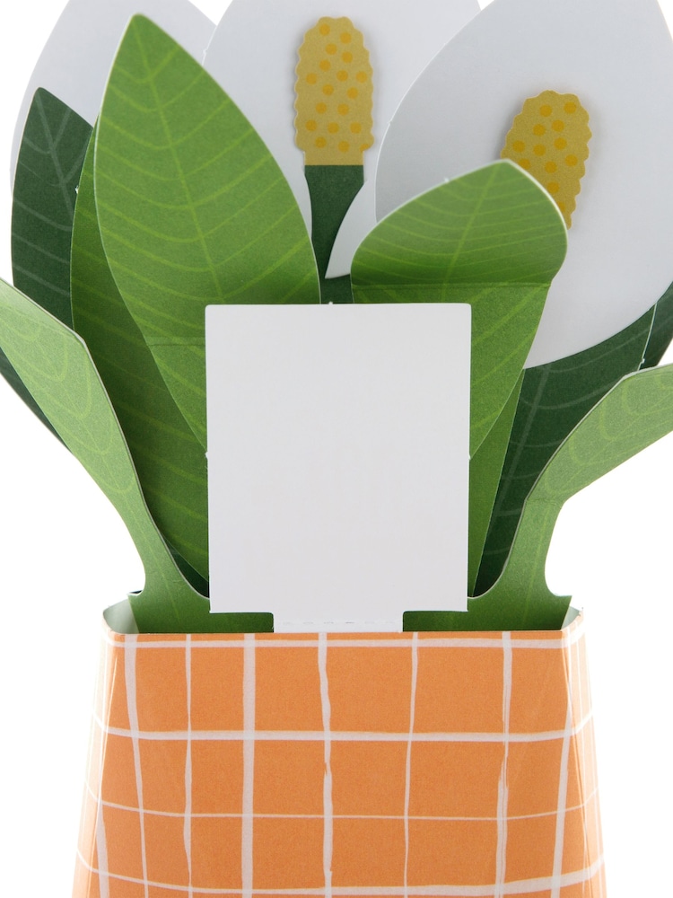 Hallmark Green Thinking of You Card 3D Pop Up Peace Lily - Image 4 of 4