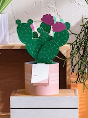 Hallmark Green Just To Say Card 3D Pop Up Cactus - Image 1 of 4