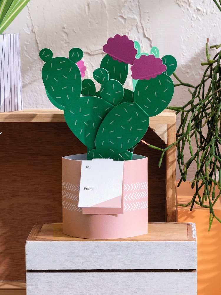 Hallmark Green Just To Say Card 3D Pop Up Cactus - Image 1 of 4