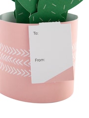 Hallmark Green Just To Say Card 3D Pop Up Cactus - Image 4 of 4