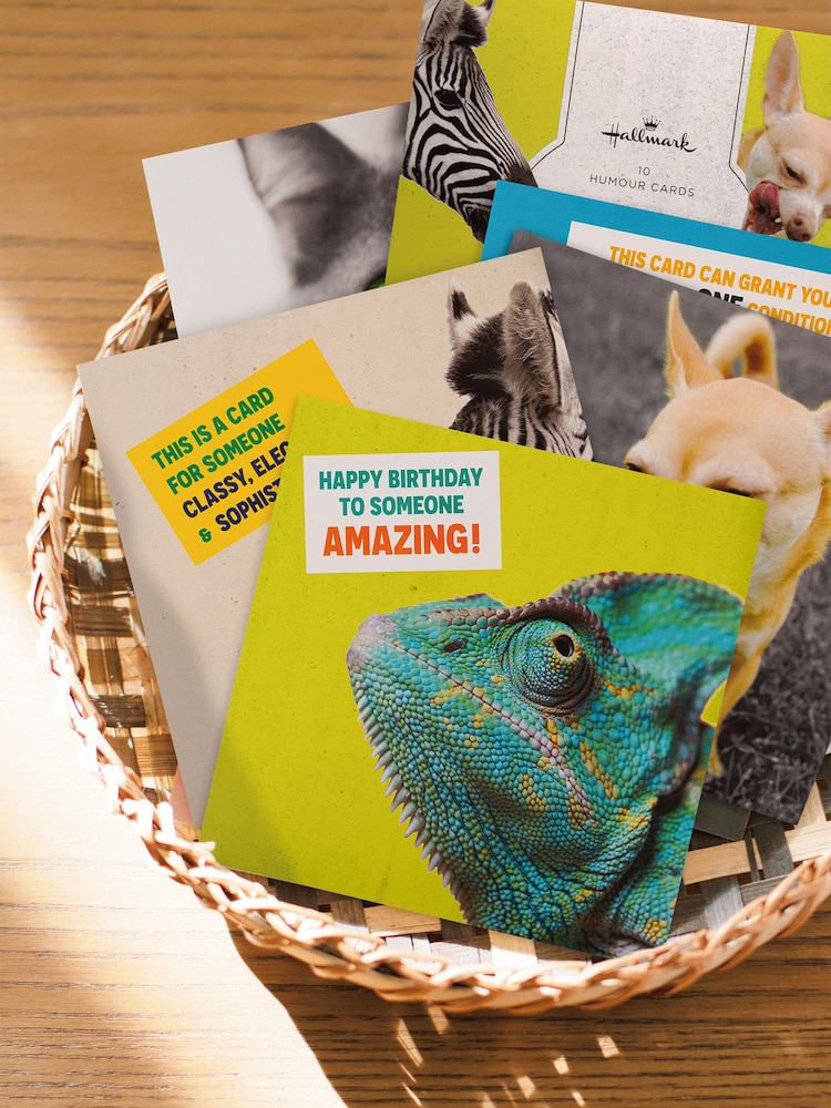 Hallmark Yellow 10 Pack Birthday Cards In 5 Funny Animal Designs - Image 1 of 4
