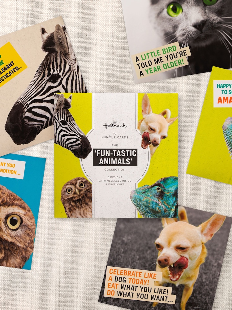 Hallmark Yellow 10 Pack Birthday Cards In 5 Funny Animal Designs - Image 2 of 4