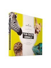 Hallmark Yellow 10 Pack Birthday Cards In 5 Funny Animal Designs - Image 3 of 4