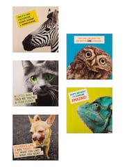 Hallmark Yellow 10 Pack Birthday Cards In 5 Funny Animal Designs - Image 4 of 4