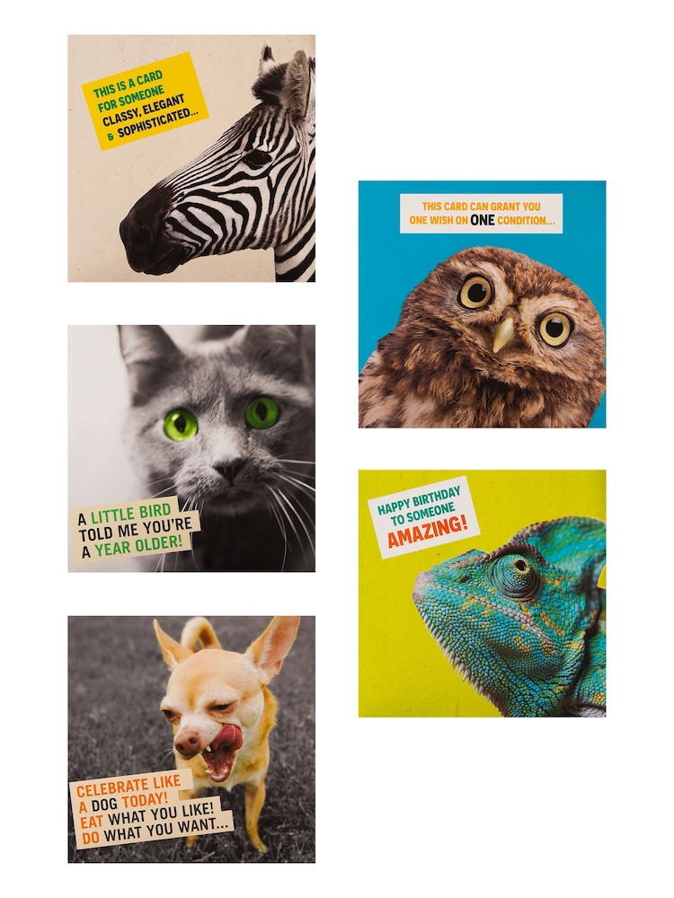 Hallmark Yellow 10 Pack Birthday Cards In 5 Funny Animal Designs - Image 4 of 4