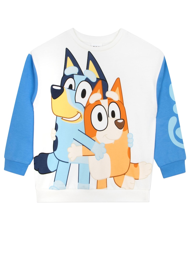Character Blue Paw Patrol Jumper - Image 1 of 10
