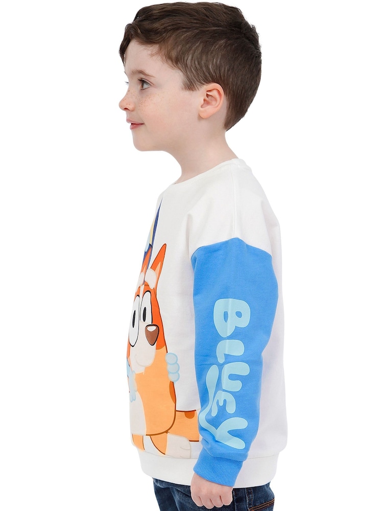 Character Blue Paw Patrol Jumper - Image 10 of 10