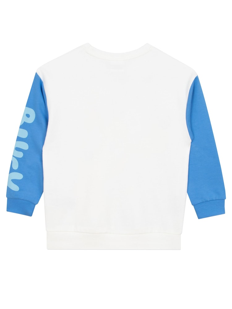 Character Blue Paw Patrol Jumper - Image 2 of 10