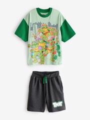 Character Green Teenage Mutant Ninja Turtles 100% Cotton T-Shirt And Shorts Set - Image 1 of 1