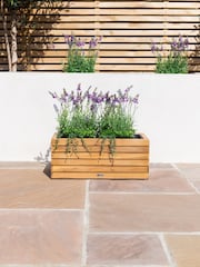 Maze Acacia Wood Garden Bali Small Planter - Image 2 of 6