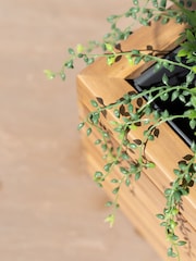 Maze Acacia Wood Garden Bali Small Planter - Image 4 of 6